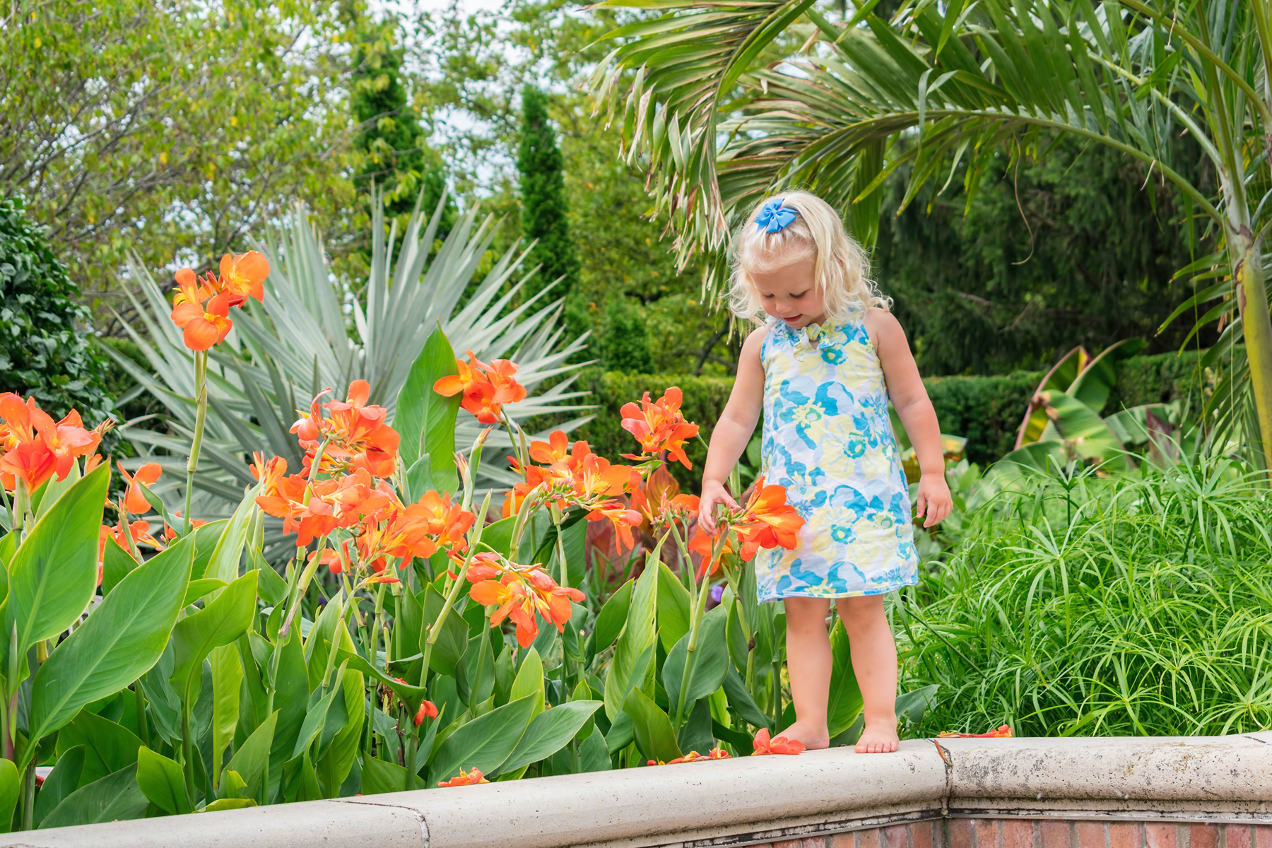 Marie Selby Botanical Gardens